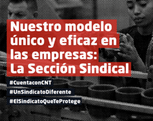 Nuestro modelo único y eficaz en las empresas: La Sección Sindical